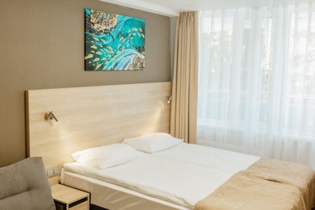 Стандартный 2-местный (с балконом, корпус 1«Молодежный»)