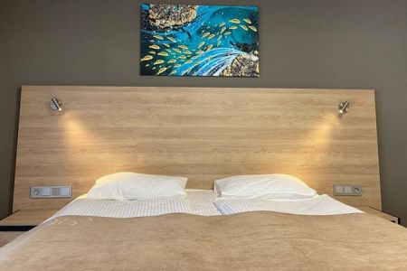 Студио 2-местный (корпус 1 «Молодежный»)